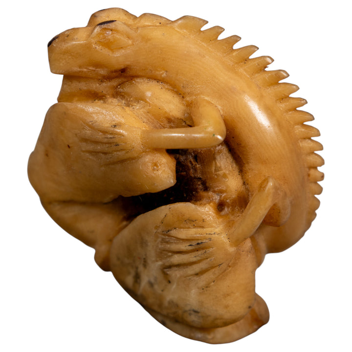 Vintage Natural White Dyed Iguana Lizard Tagua Carving