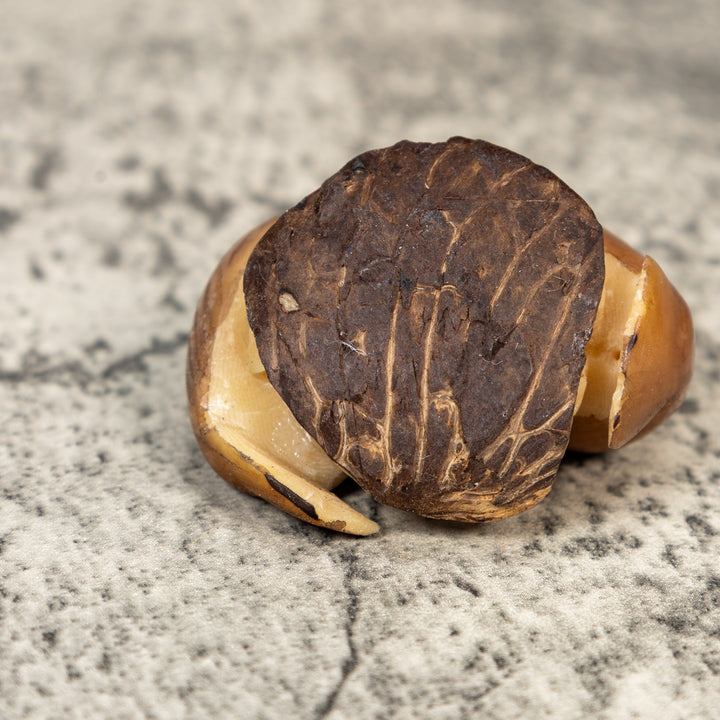 Brown And Black Two Bird Tagua Carving