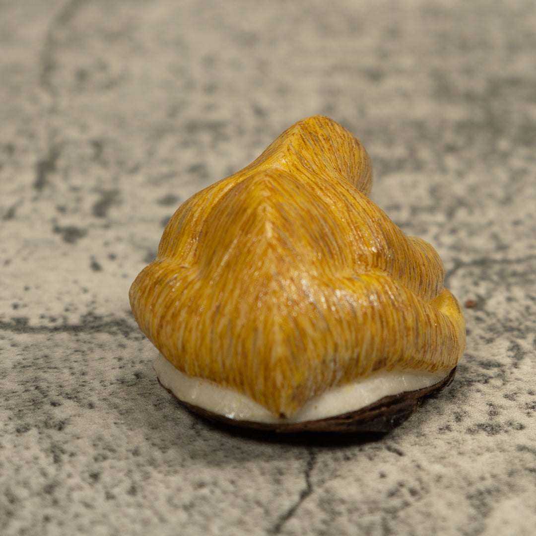 Brown Sloth Tagua Carving