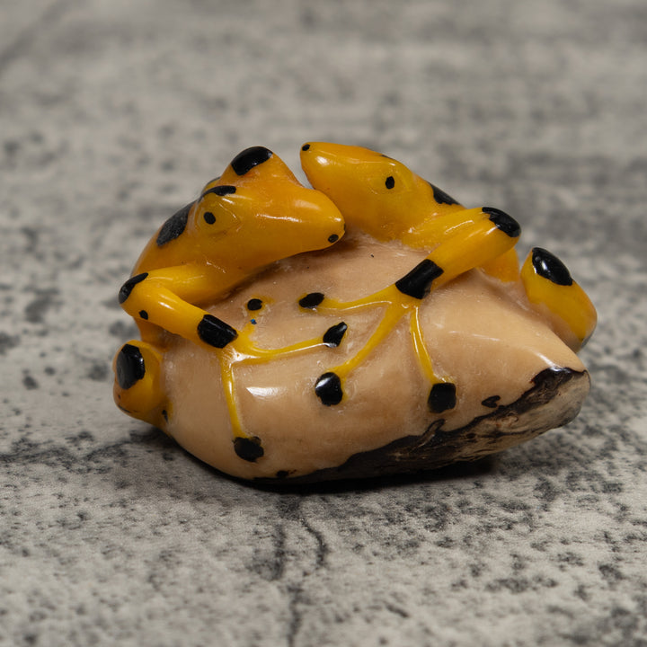 Vintage Double Golden Frog Tagua Carving