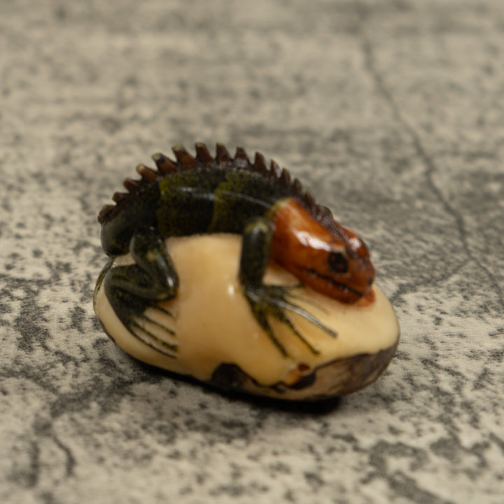 Iguana Lizard Reptile Tagua Carving