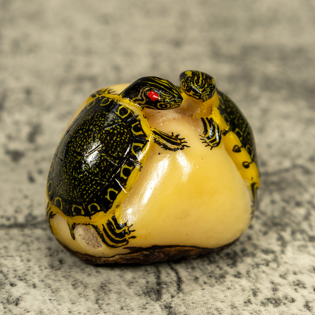 Double (2) Tortoise Turtle Tagua Carving