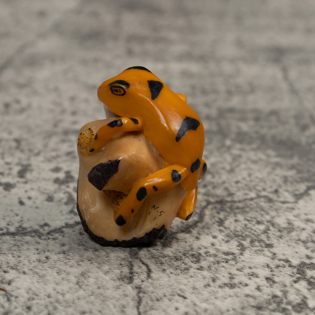 Gold And Black Poison Dart Frog Tagua Carving