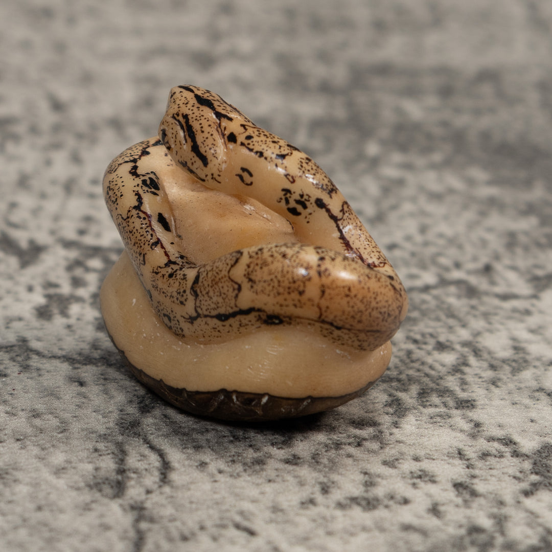Black And White Snake Boa Tagua Carving