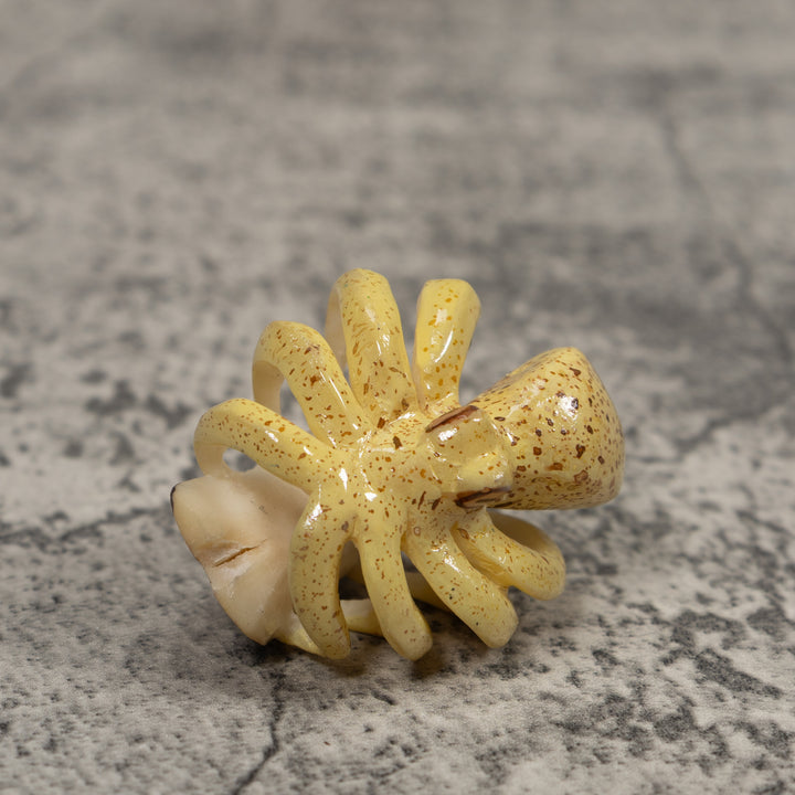 Octopus Squid Tagua Carving