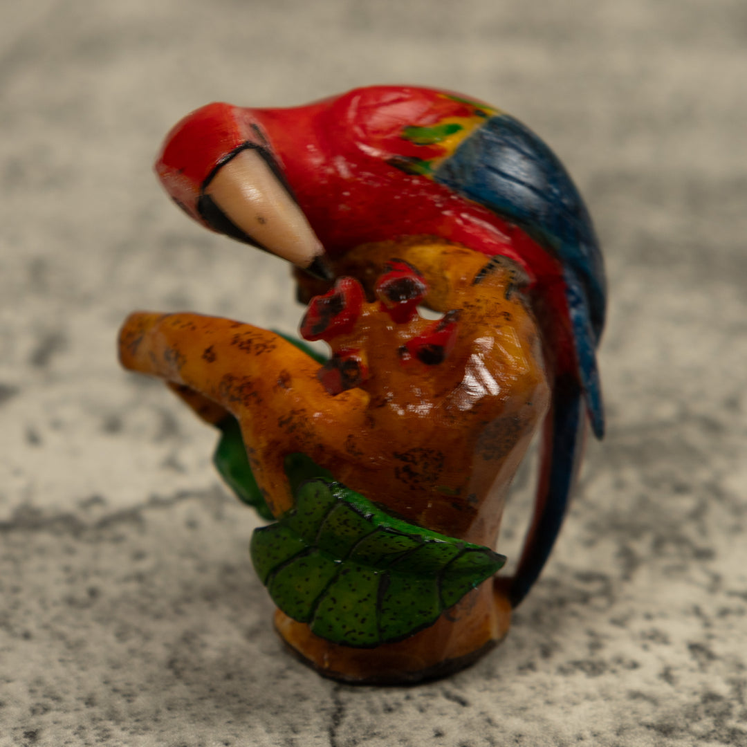 Macaw Parrot Bird Tagua Carving