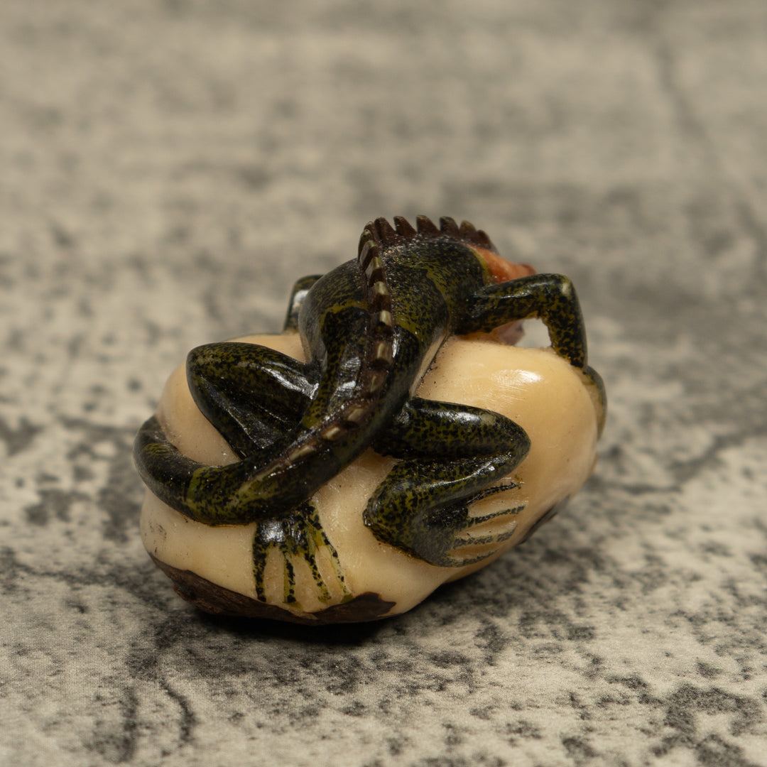 Iguana Lizard Reptile Tagua Carving