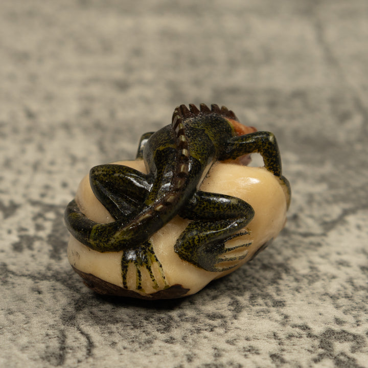 Iguana Lizard Reptile Tagua Carving