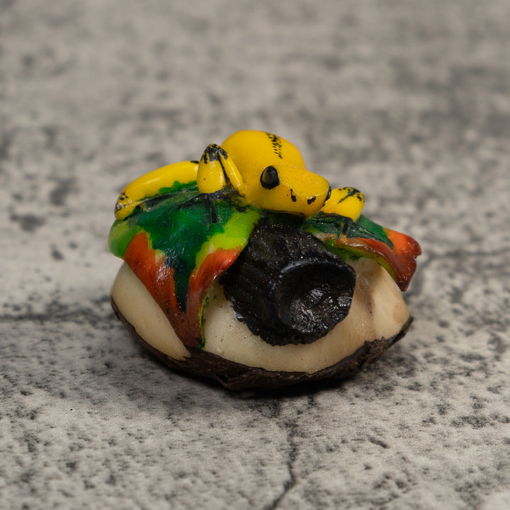 Yellow Green And Red Jungle Frog Tagua Carving
