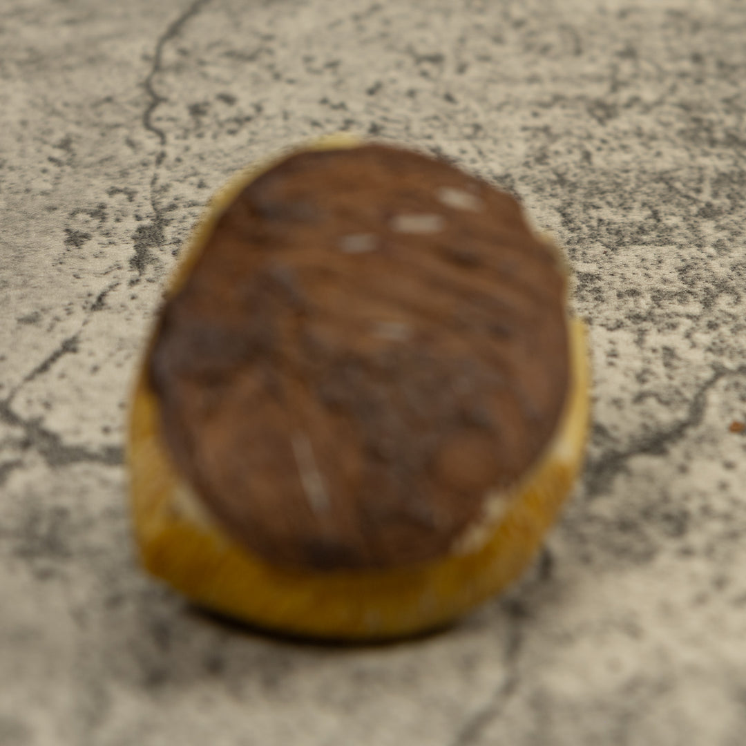 Brown Sloth Tagua Carving