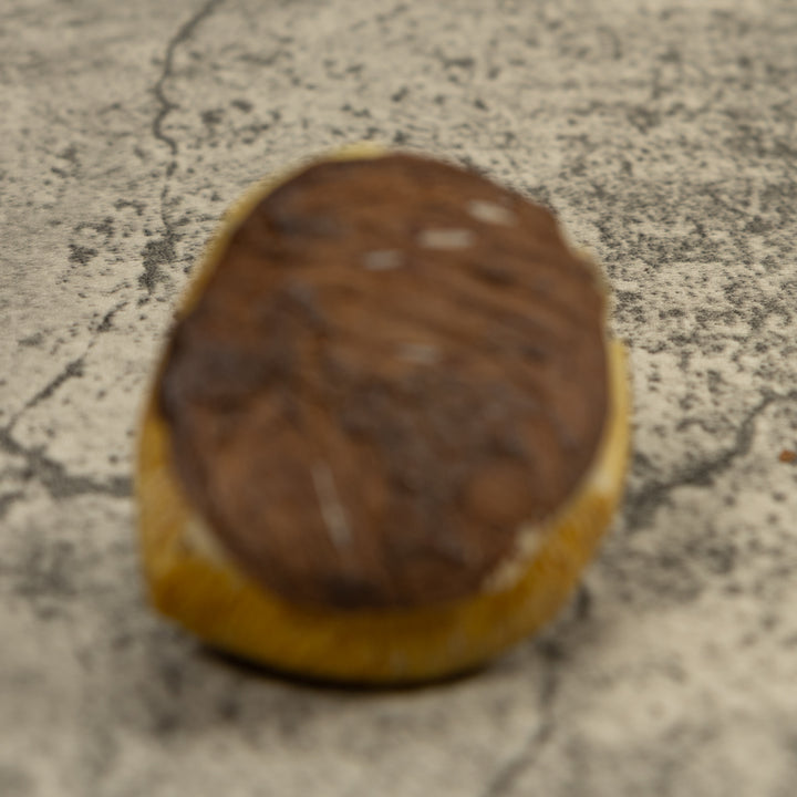 Brown Sloth Tagua Carving