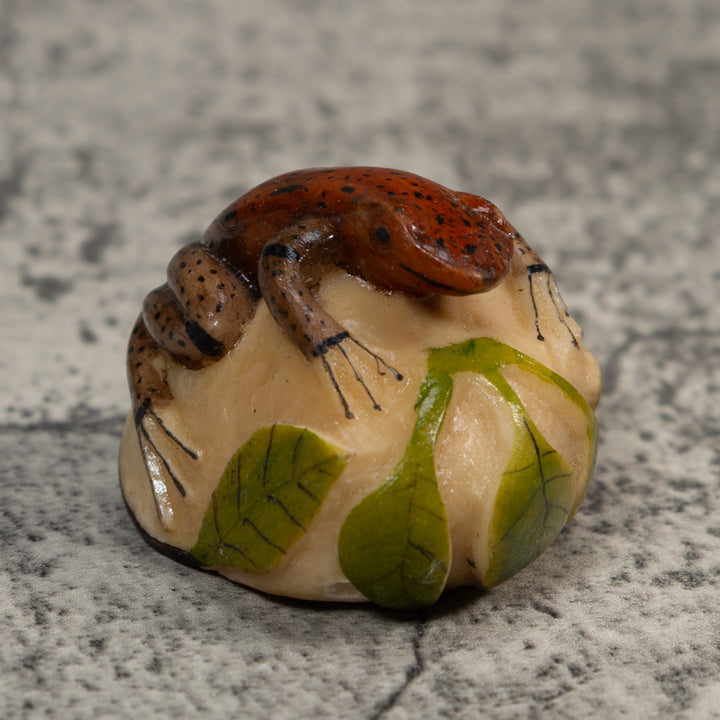 Brown And Black Poison Dart Frog Tagua Carving