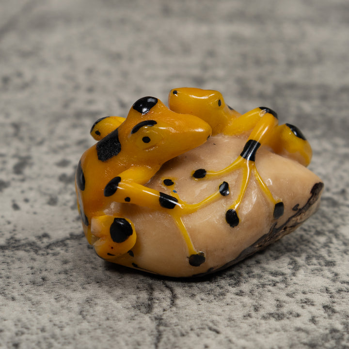 Vintage Double Golden Frog Tagua Carving