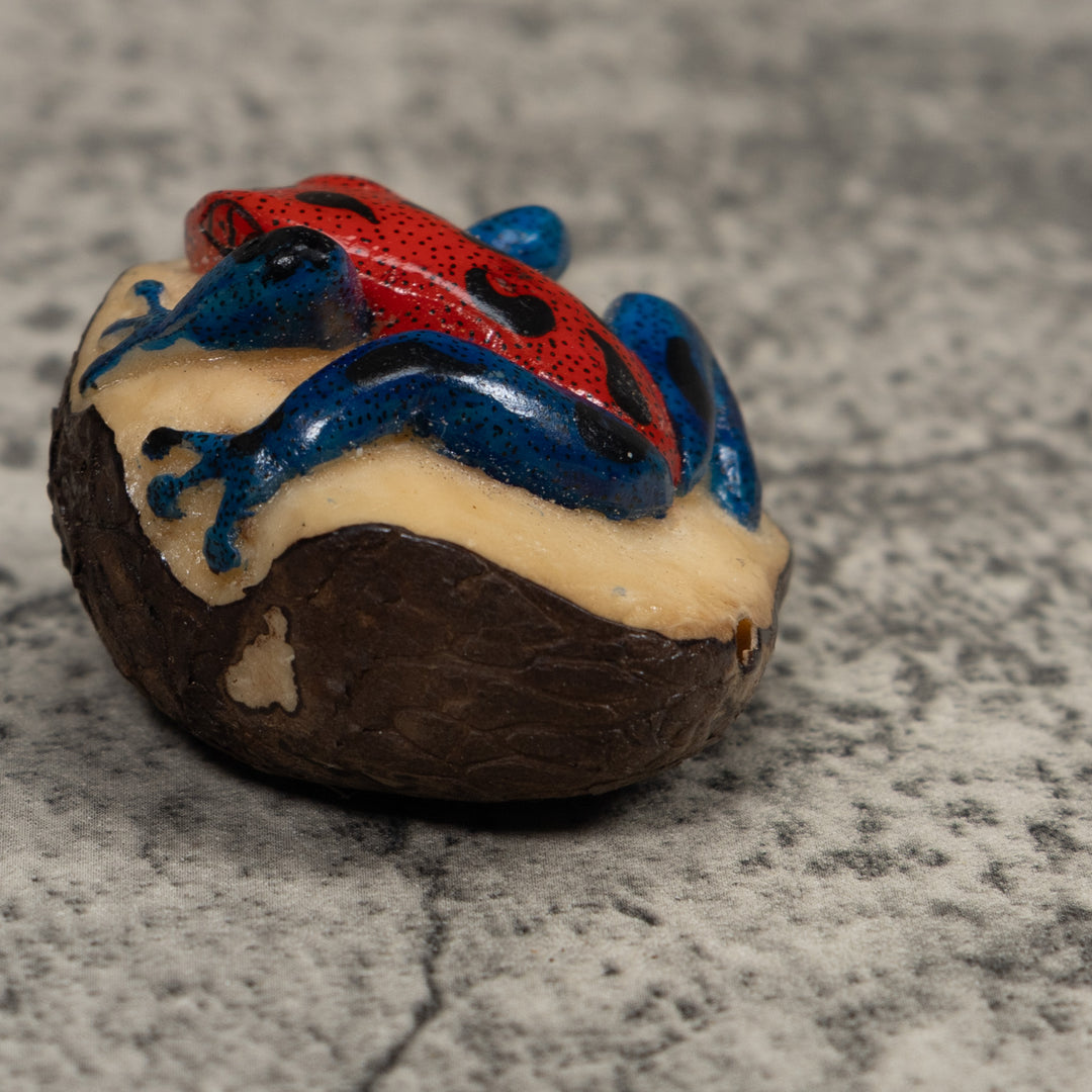 Vintage Red And Blue Poison Dart Frog Tagua Carving