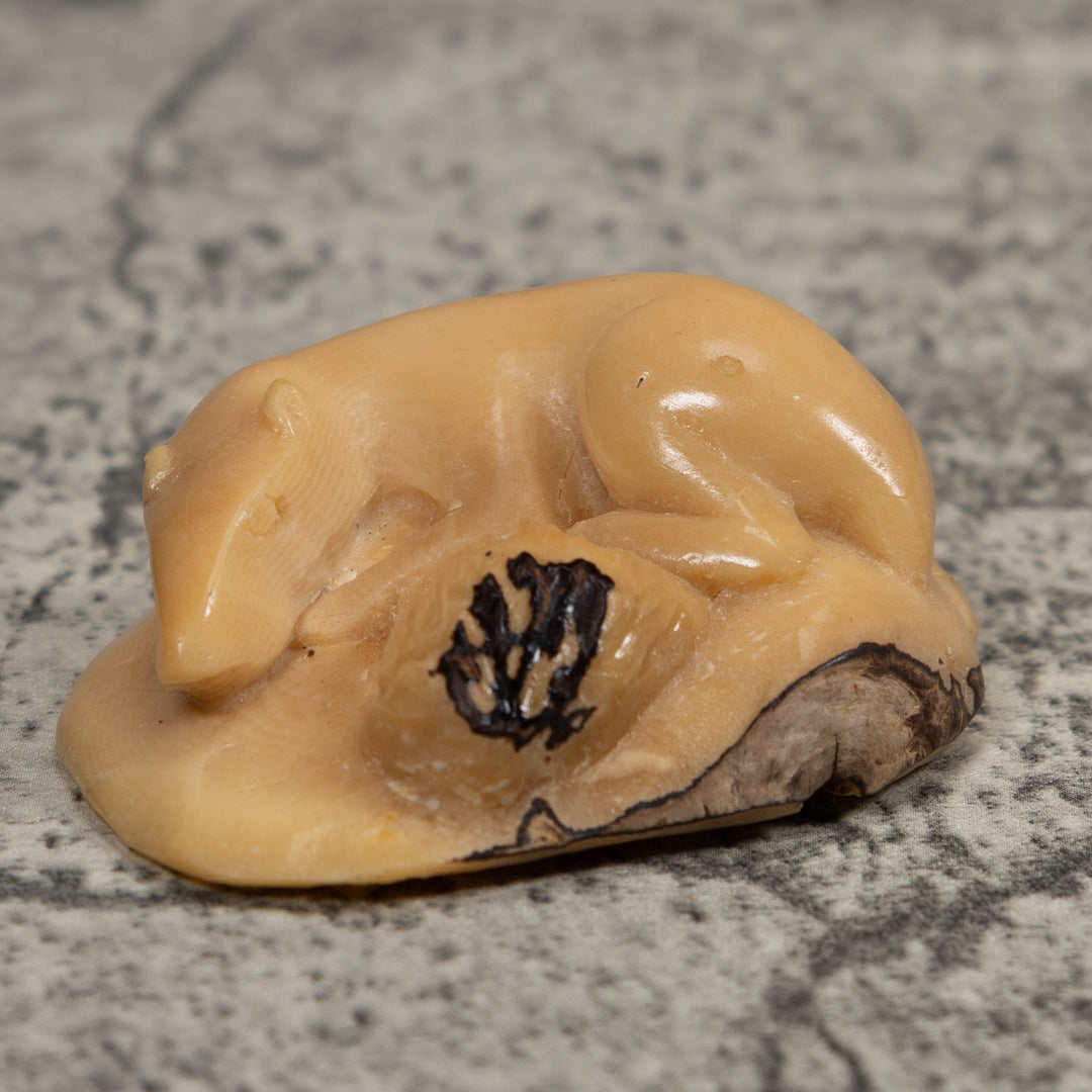 Vintage White Neque Agouti Tagua Carving