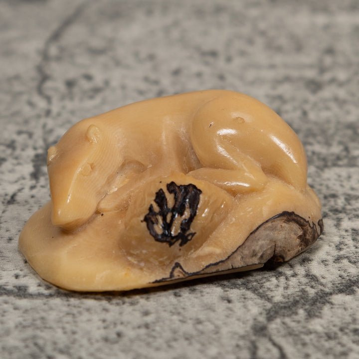 Vintage White Neque Agouti Tagua Carving