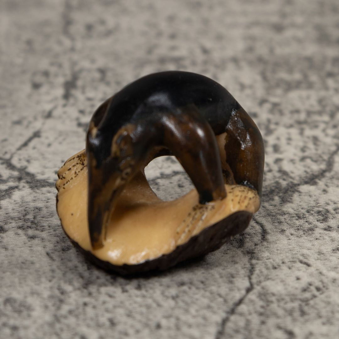 Vintage Brown Anteater Tagua Carving
