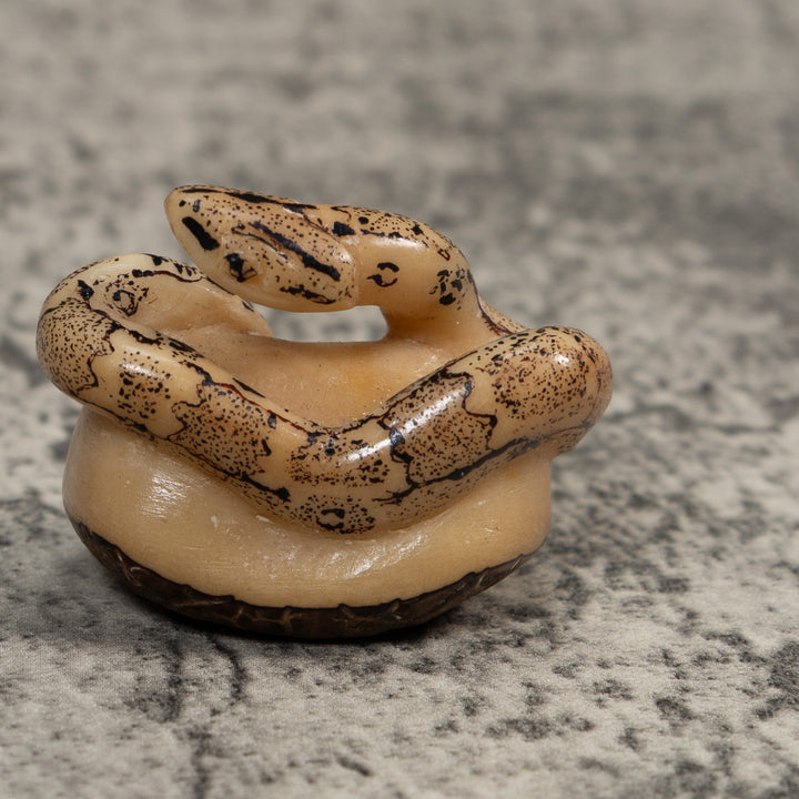 Black And White Snake Boa Tagua Carving