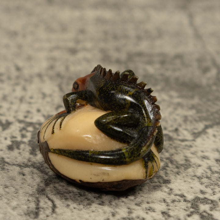 Iguana Lizard Reptile Tagua Carving