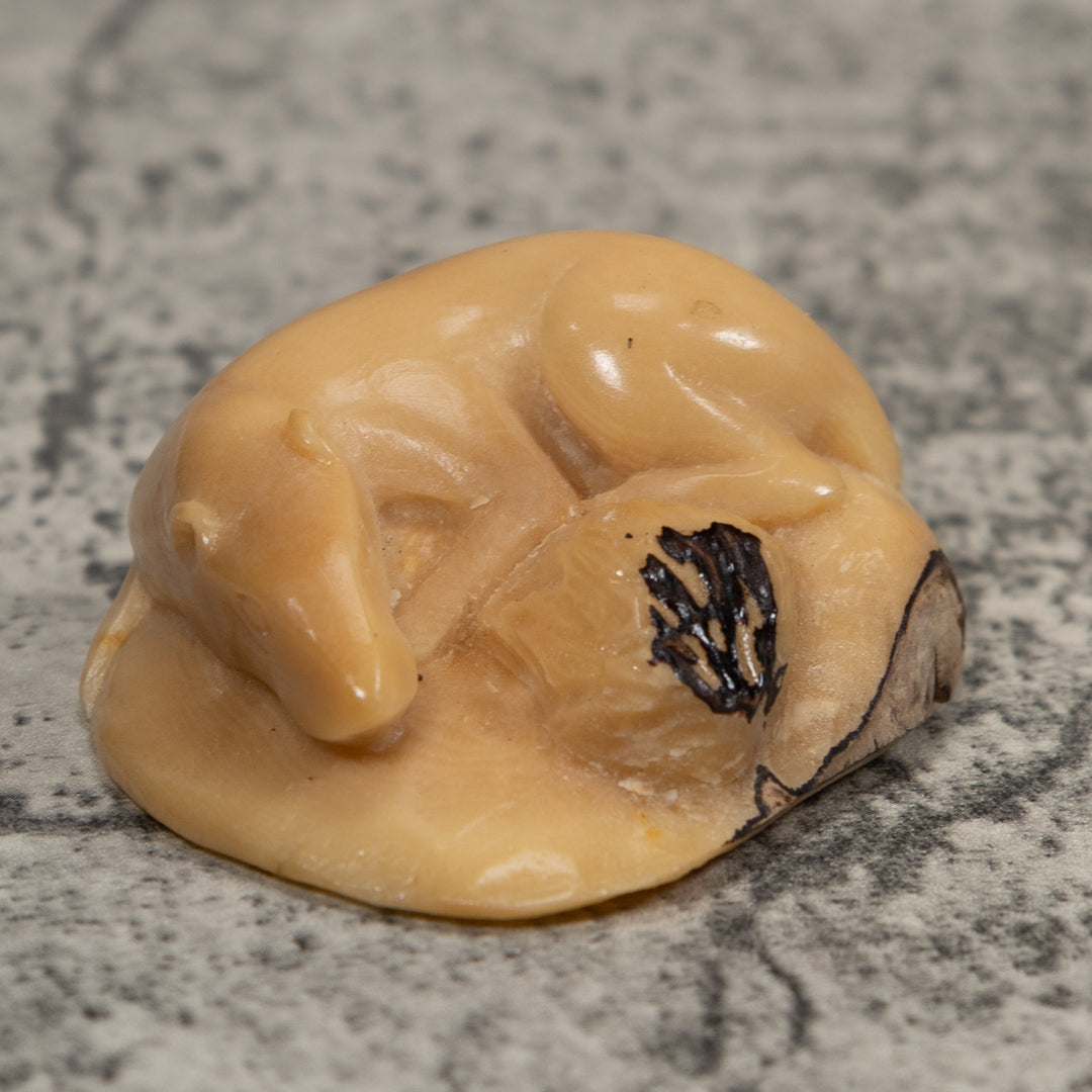 Vintage White Neque Agouti Tagua Carving