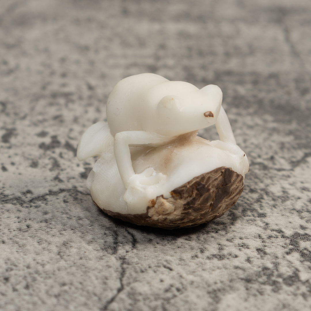 White Natural Frog Tagua Carving