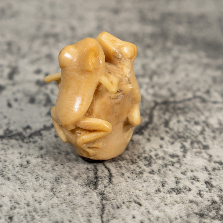 Vintage Natural White Dyed Double Frog Tagua Carving
