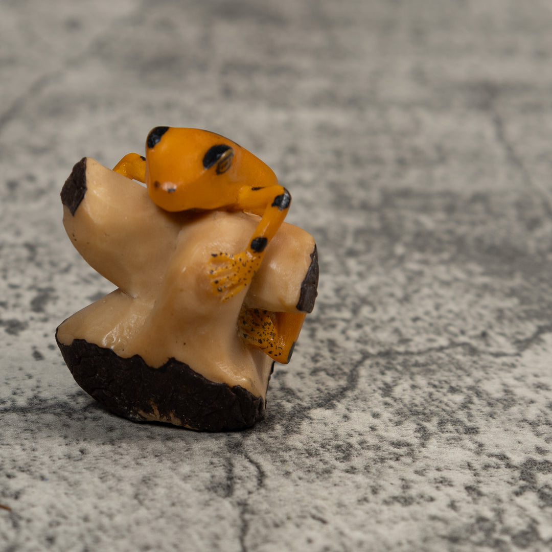 Gold And Black Poison Dart Frog Tagua Carving