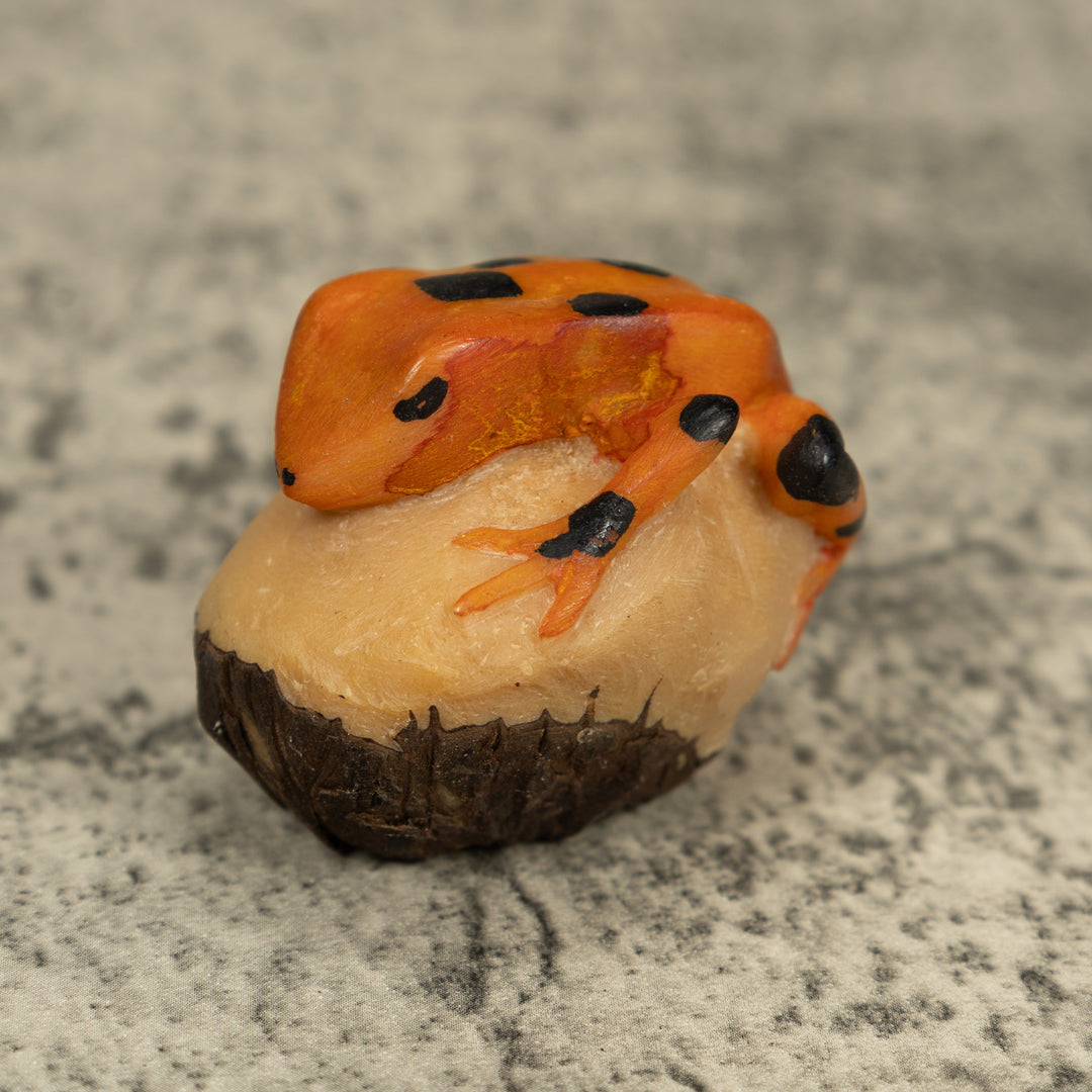 Vintage Gold And Black Frog Tagua Carving