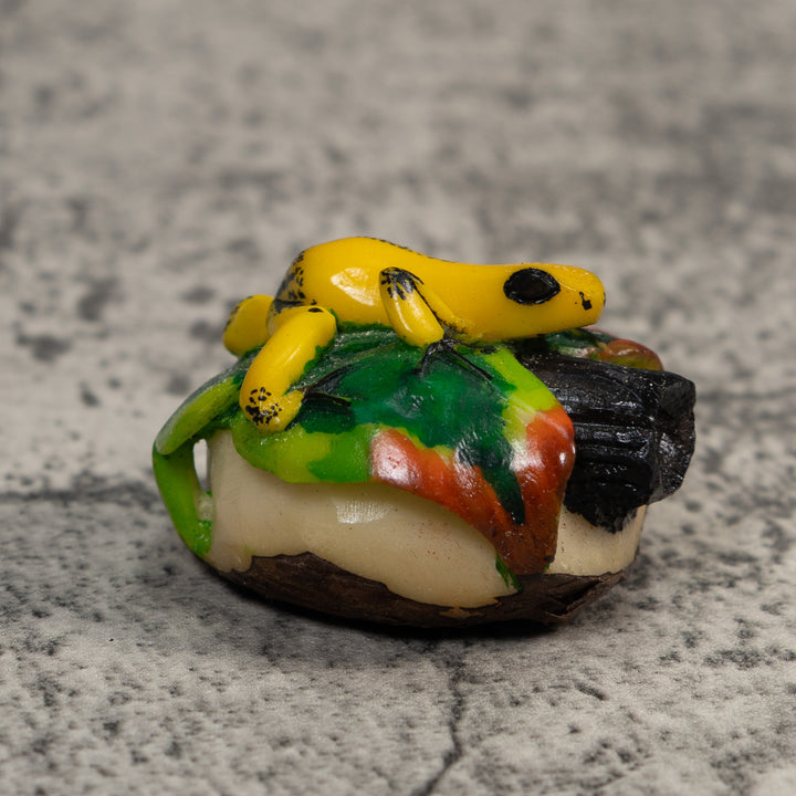 Yellow Green And Red Jungle Frog Tagua Carving