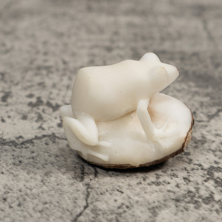 White Natural Frog Tagua Carving