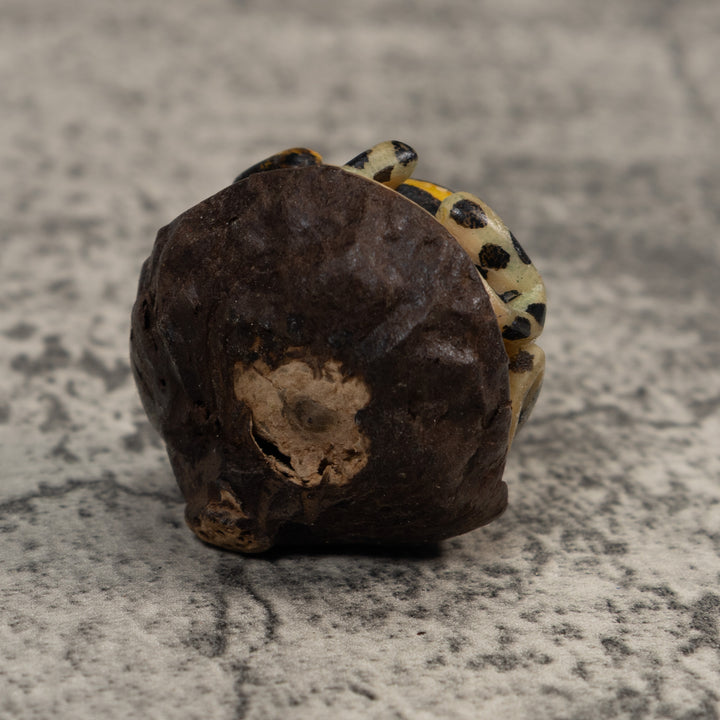 Gold And Black Poison Dart Frog Tagua Carving