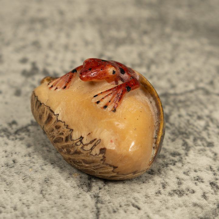 Vintage Poison Dart Frog Under Leaf Tagua Carving