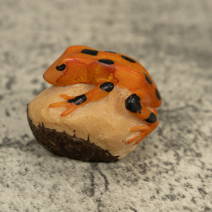 Vintage Gold And Black Frog Tagua Carving