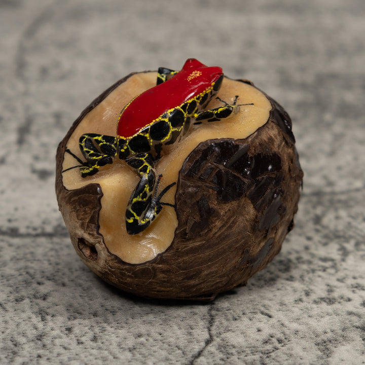 Poison Dart Frog Tagua Carving