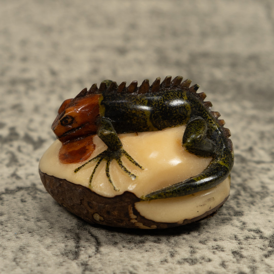 Iguana Lizard Reptile Tagua Carving