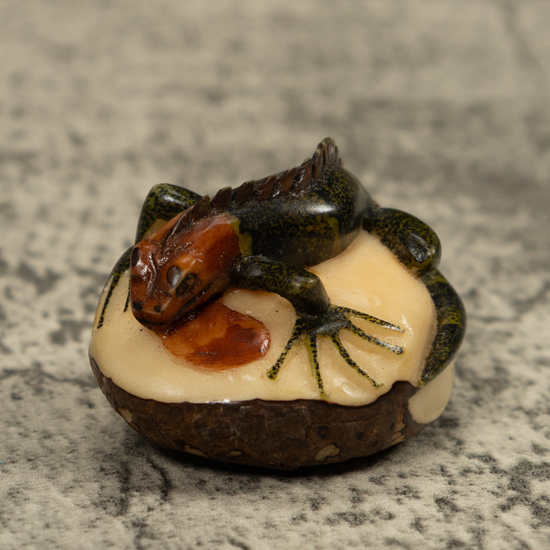 Iguana Lizard Reptile Tagua Carving
