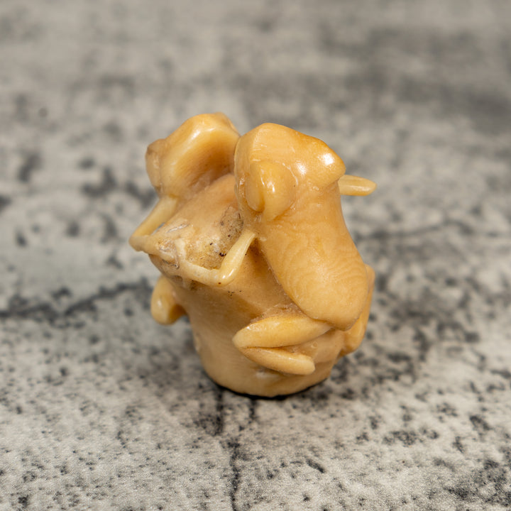 Vintage Natural White Dyed Double Frog Tagua Carving