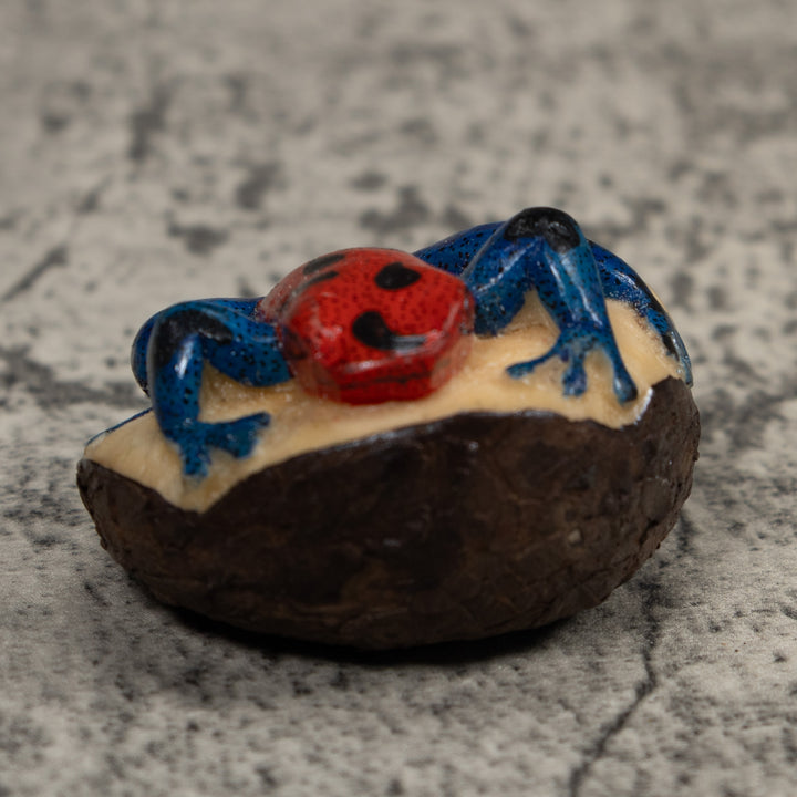 Vintage Red And Blue Poison Dart Frog Tagua Carving