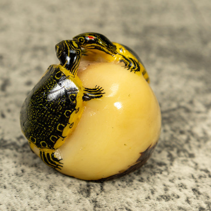 Double (2) Tortoise Turtle Tagua Carving
