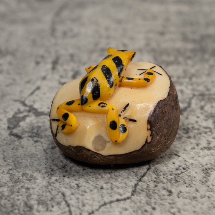 Black And Gold Poison Dart Frog Tagua Carving