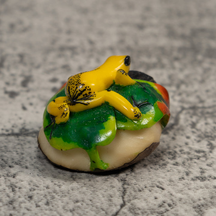 Yellow Green And Red Jungle Frog Tagua Carving