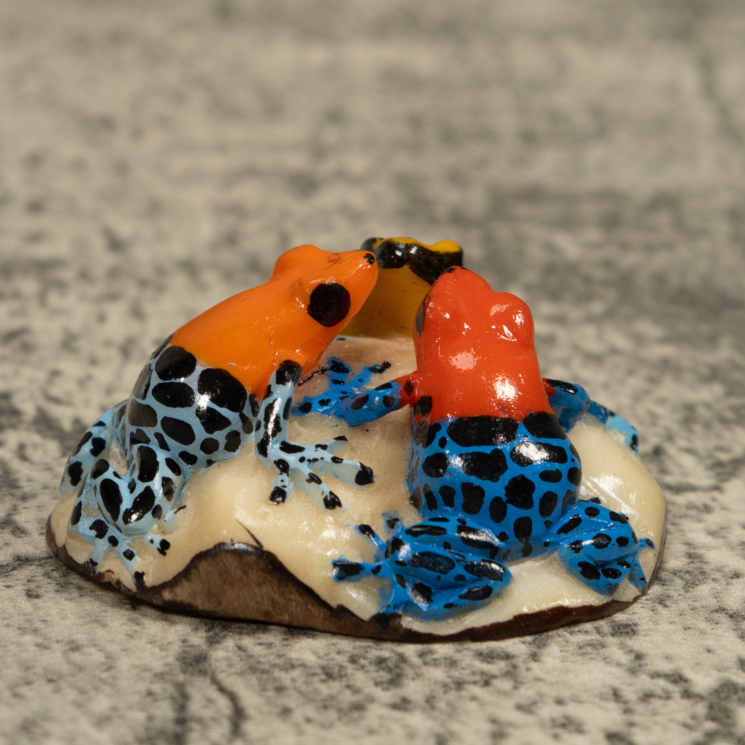 Triple Poison Dart Frog Tagua Carving