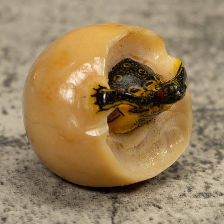 Turtle And Egg Tagua Carving