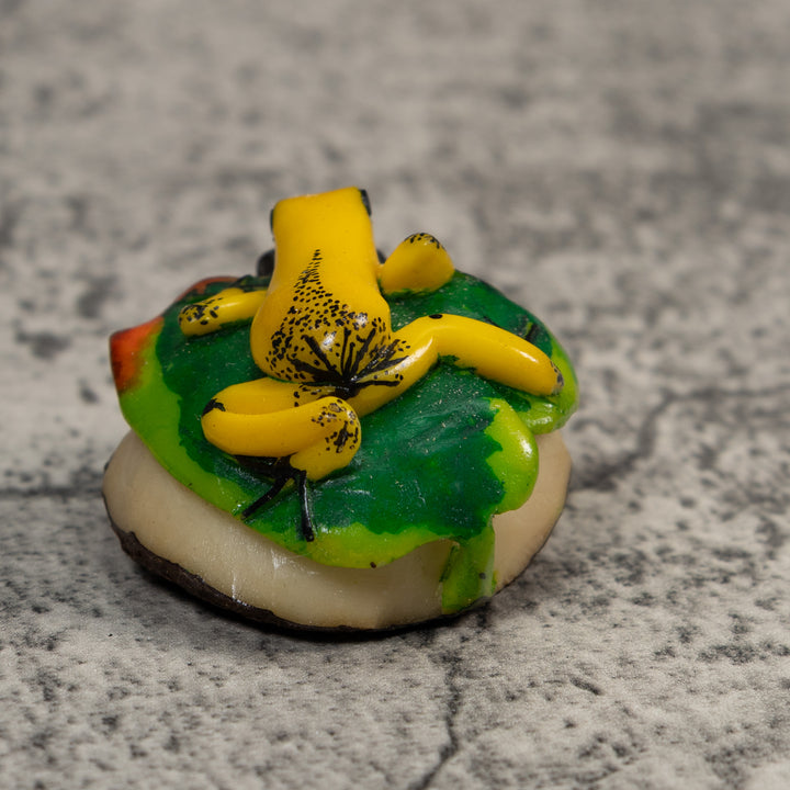 Yellow Green And Red Jungle Frog Tagua Carving