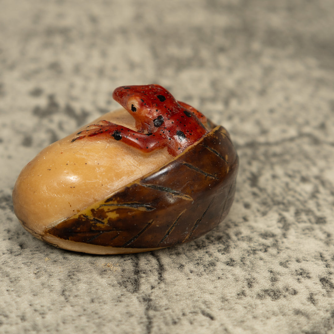 Vintage Poison Dart Frog Under Leaf Tagua Carving