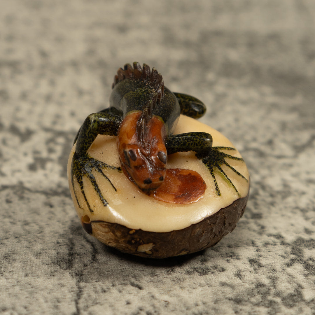 Iguana Lizard Reptile Tagua Carving