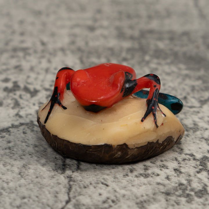 Vintage Red And Blue Poison Dart Frog Tagua Carving