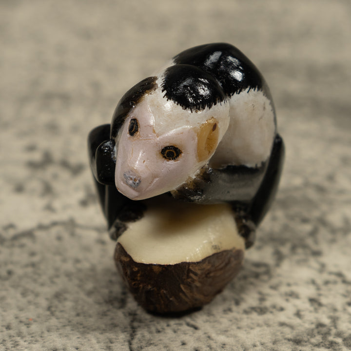 White Face Monkey Tagua Carving