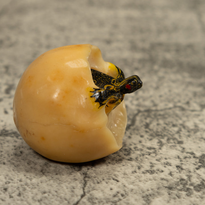 Turtle And Egg Tagua Carving