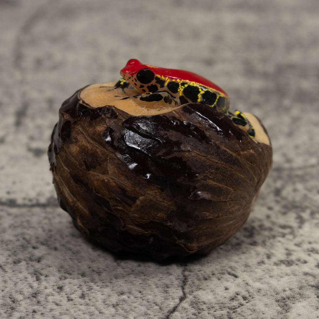 Poison Dart Frog Tagua Carving
